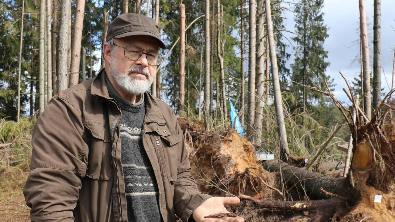 Heiki Valk