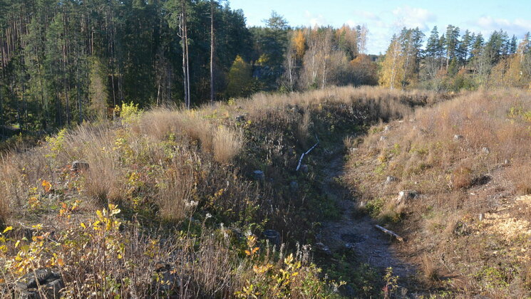 Rosma linnamäe vall